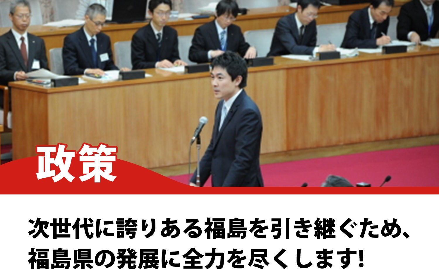 政策